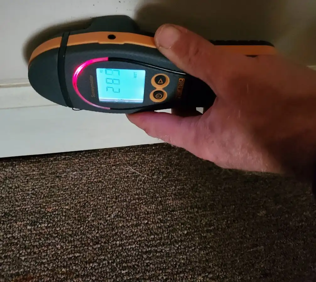 Moisture detection at baseboard during Mold Inspection & Testing in Valinda